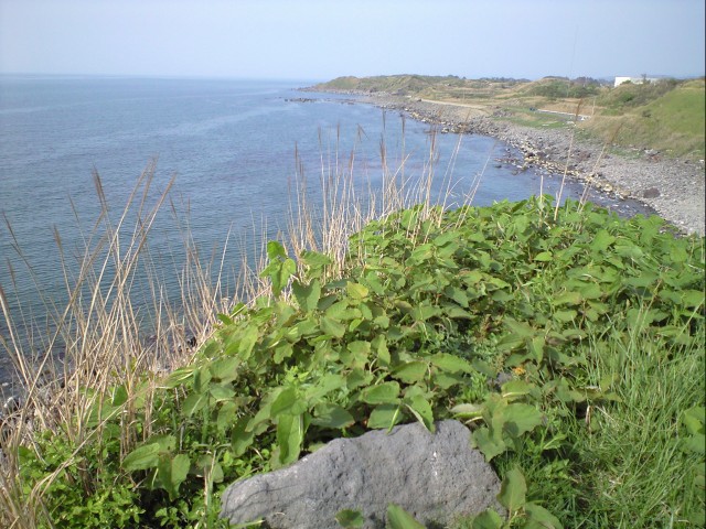 c0019089_20372413.jpg