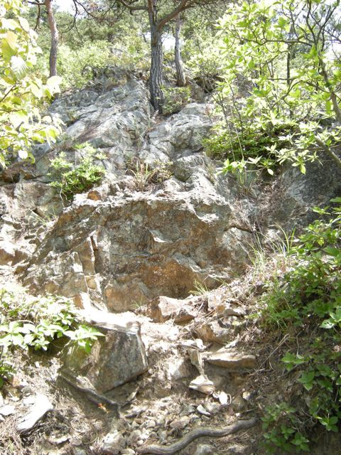 a0064290_23253949.jpg