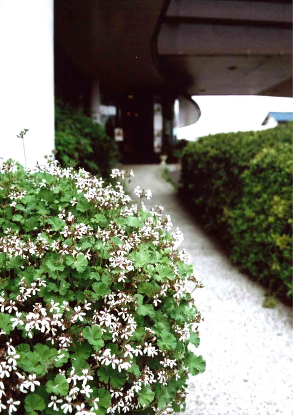 c0151691_14412471.jpg