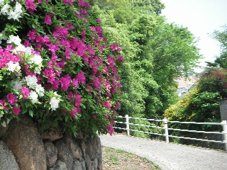 c0108693_2157349.jpg
