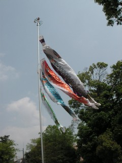 c0108693_21584831.jpg