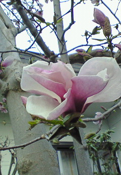 f0057094_12244638.jpg