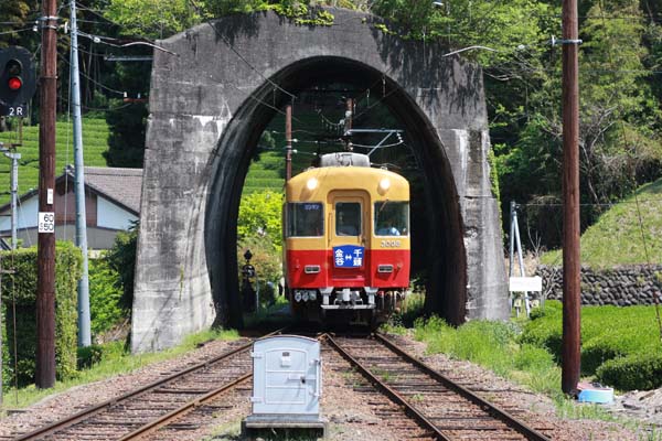 大井川に行って来ました_c0051299_223353.jpg