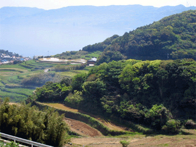 b0108100_2122973.gif