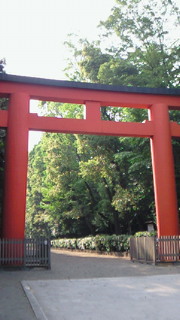 f0144003_2334215.jpg