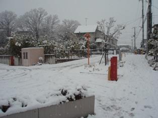 b0101004_0192252.jpg