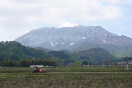 Daisen_c0066405_19344914.jpg