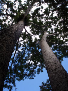 e0013405_16303389.jpg