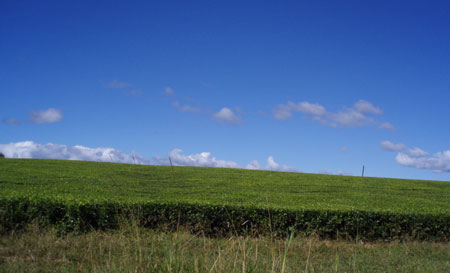 e0013405_16363647.jpg