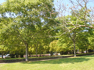 c0023406_17515283.jpg