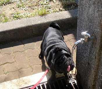c0023406_17522098.jpg