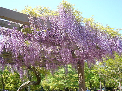 c0023406_1752466.jpg