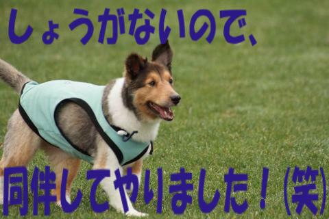 e0100007_2158483.jpg