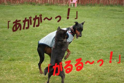 e0100007_22151663.jpg