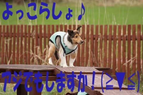e0100007_22231537.jpg