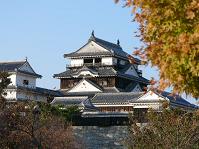 四国の旅_a0042310_18393648.jpg