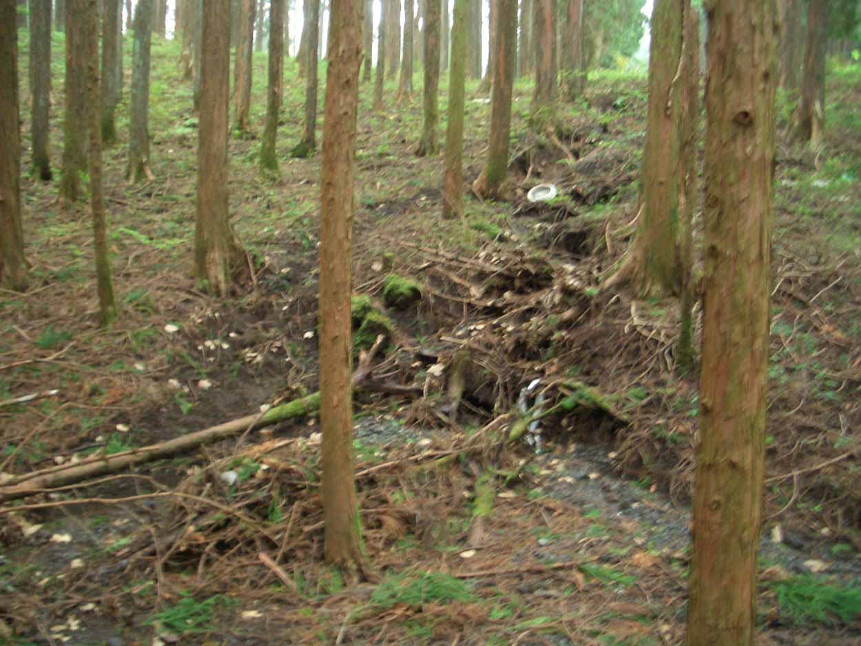娘の卒業制作の運転手で富士山へ_f0141310_21195077.jpg