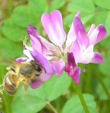e0099614_23323571.jpg