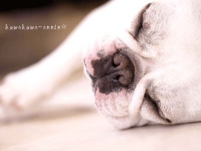 f0155120_13592675.gif