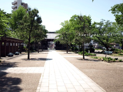 f0155120_140347.gif