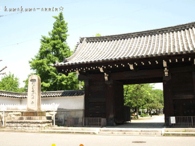f0155120_1405714.gif