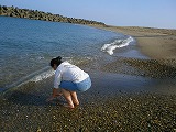 b0138522_21482193.jpg