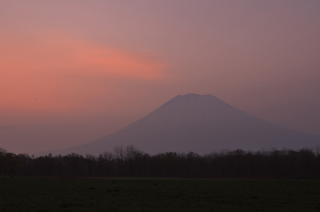 d0019422_1132925.jpg