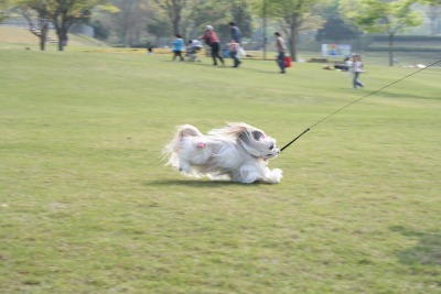 広い公園に☆_f0068926_16135691.jpg