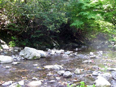 f0129726_2254929.jpg
