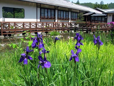 f0129726_2263012.jpg