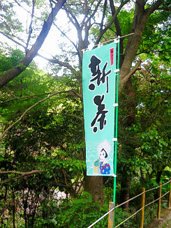 d0017632_200035.jpg