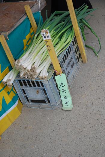 愛犬と豆もちと鳥すき焼き_c0099133_10161.jpg