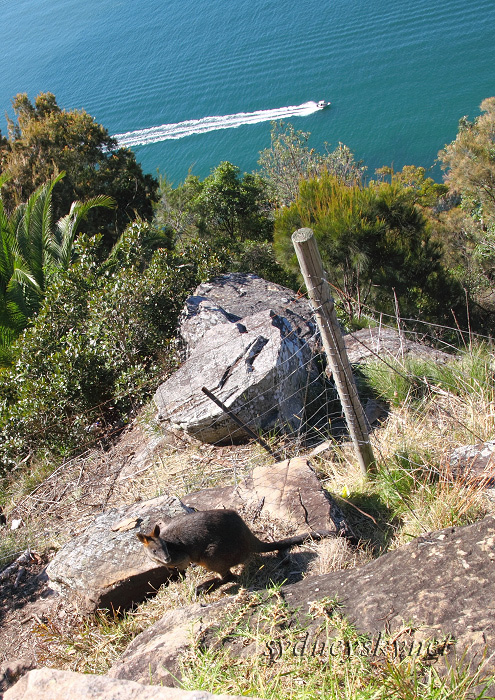 f0084337_18521361.jpg