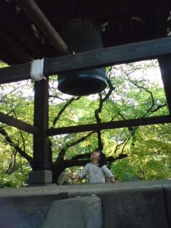 招き猫のお寺_d0044339_1124083.jpg