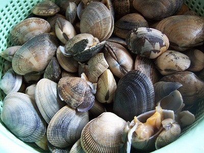 c0048940_2337661.jpg
