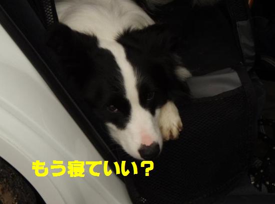 c0147241_983366.jpg
