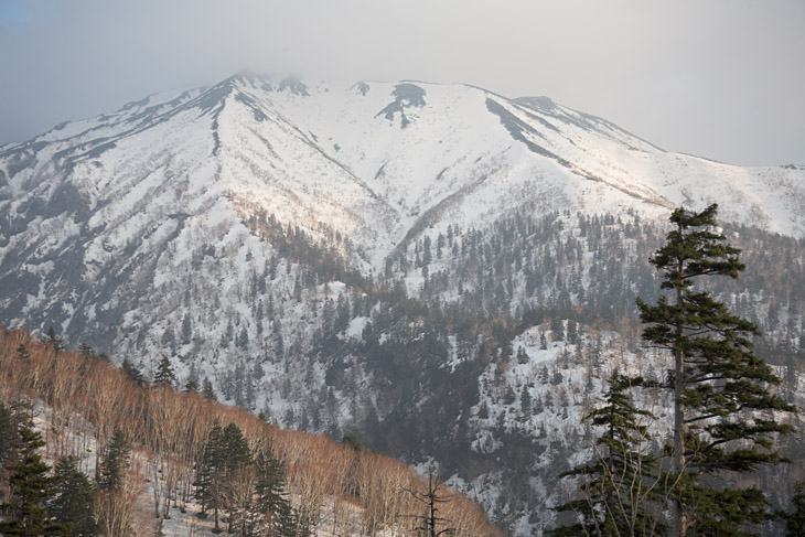 f0080743_22214457.jpg