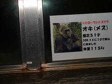 d0048350_2104549.jpg