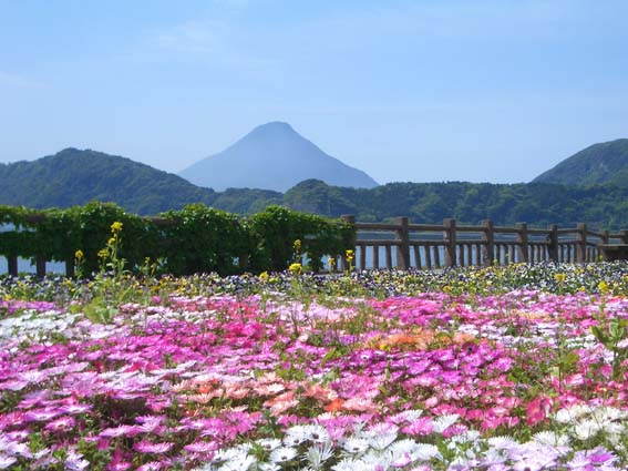 鹿児島~阿蘇の旅(2)_b0002156_0313441.jpg