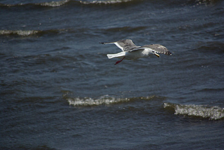 b0087456_21531929.jpg