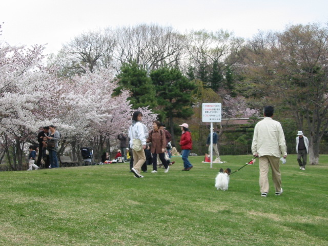 天神山緑地　その3_f0122259_1037030.jpg