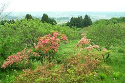f0139963_12405069.jpg
