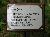 f0139963_14162529.jpg