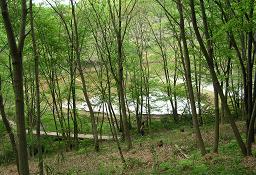 f0139963_14192551.jpg