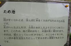 f0139963_14195876.jpg