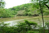f0139963_14211872.jpg