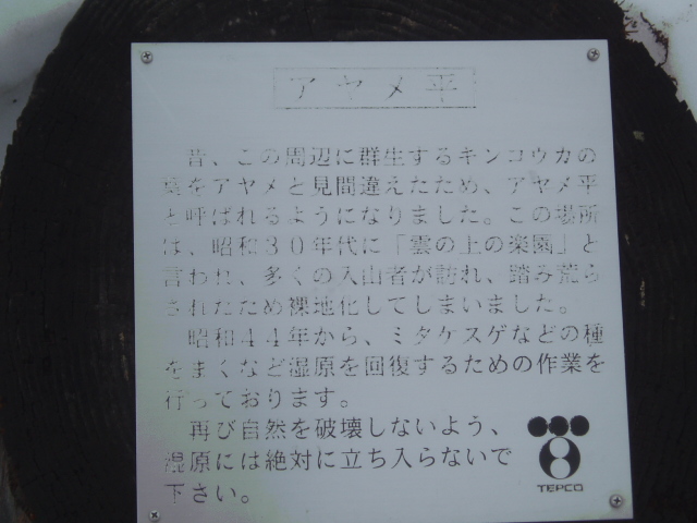 春山バックカントリースキー　その５～尾瀬・アヤメ平　そして納板_f0145963_22135667.jpg