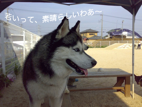 d0087675_012768.gif