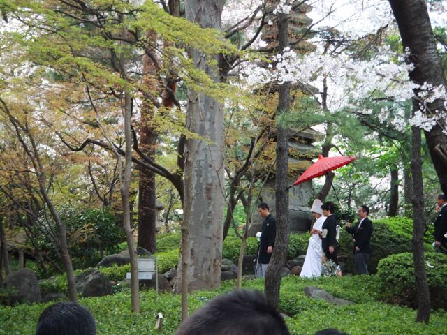 d0151485_03780.jpg