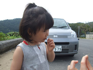 ヒィちゃんの1日。_e0028387_21421384.jpg